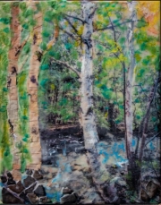 Birch Trees on Silver Creek