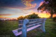 Pelee Island Sunset Bench